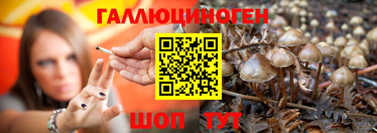 Галлюциногенные грибы Magic Shrooms  Вход с VPN  Сосновоборск 