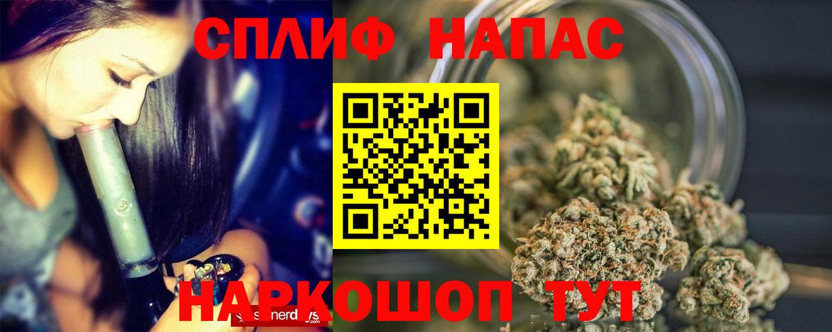 Каннабис сатива Сосновоборск